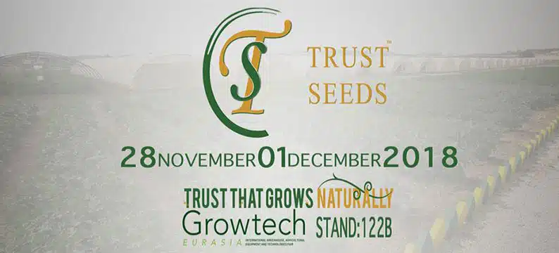 Trust Seeds image