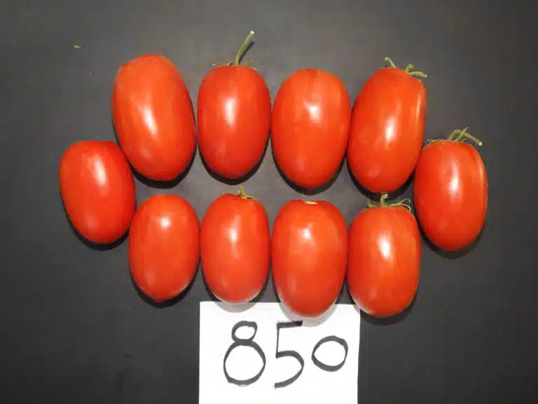 DSCN1895