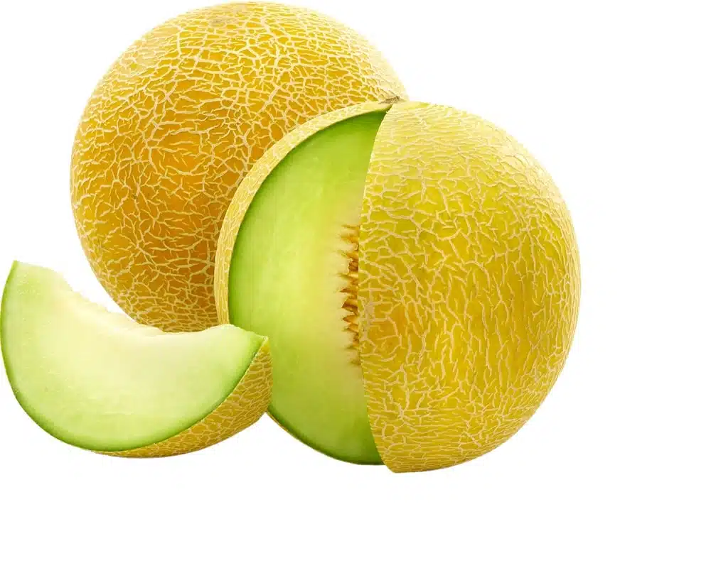 Melon